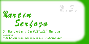 martin serfozo business card